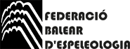Logo FBE